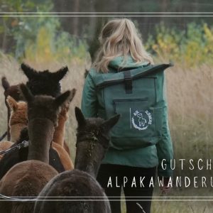 PDF-Gutschein Alpakawanderung