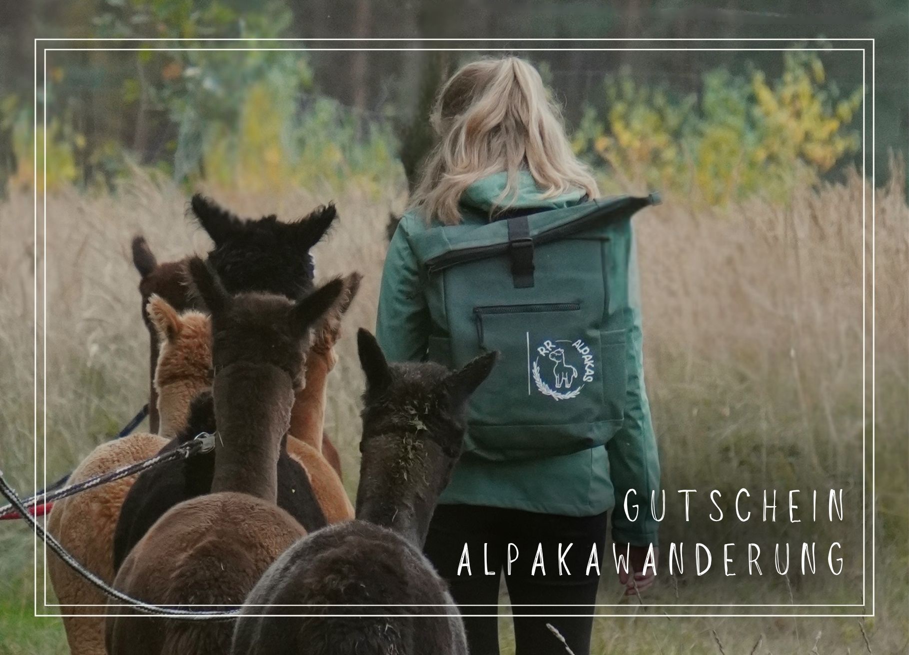 PDF-Gutschein Alpakawanderung